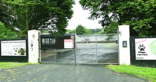 Bark Get 44 000 Grant For Rehoming Kennels Refurb Alpha Newspaper Group