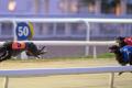 Wind strongest in Sprint final thriller