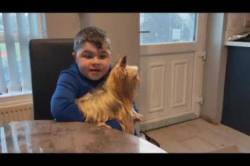Inspiring Newry Boy Alfie Pentony says all is going well with Dog Jog 