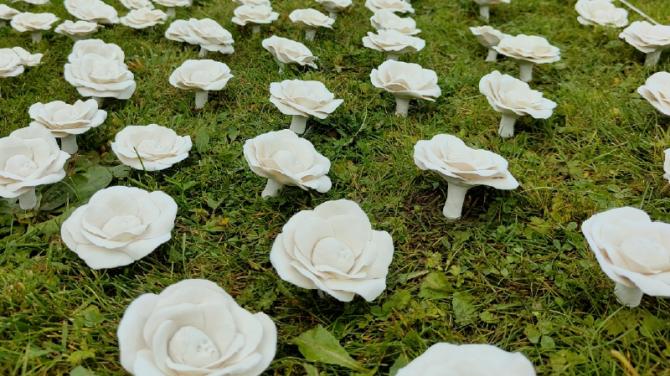 Newry artist dedicates work to 796 Tuam babies