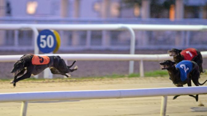 Wind strongest in Sprint final thriller