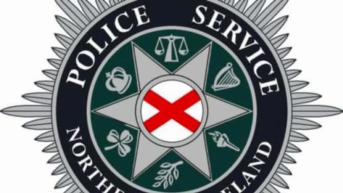 Pet dog dies following petrol bomb attack